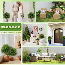 DOPGIB topiary set is easy to assemble with no watering