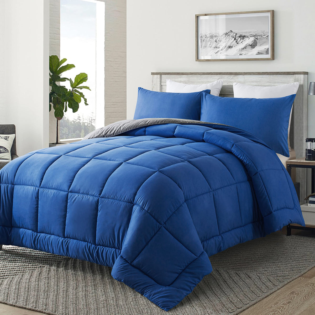 Downcool queen comforter set includes two pillowcases for complete look