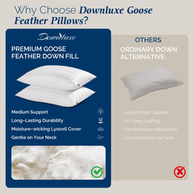 Downluxe breathable lyocell cover supports all-season comfort and skin-friendliness.