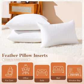 Downstoria pillow-insert vacuum-sealed packaging ready for refreshing fluff.