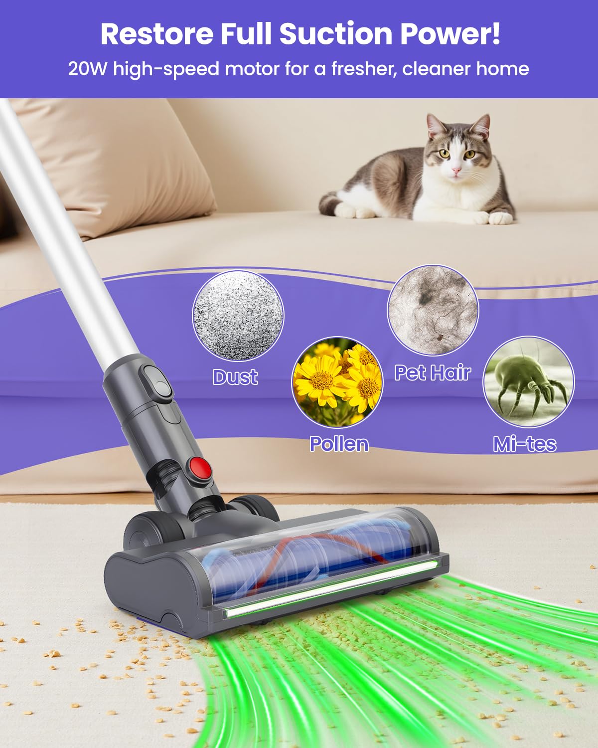 Drajia 20W motorized brush head delivers strong suction on carpets and hard floors.