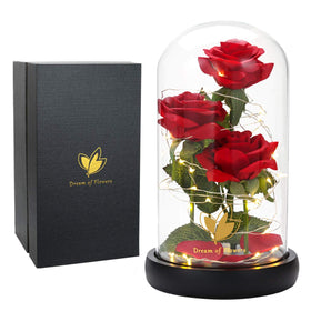 Dream of Flowers Beauty and the Beast rose in glass dome glows with timeless romance.