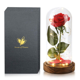 Dream of Flowers Beauty and the Beast Rose in a glass dome with LED lights for ambient decor.