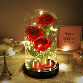 Dream of Flowers Beauty and the Beast Rose glows inside a glass dome for romance.