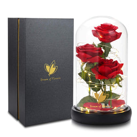 Dream of Flowers warm glow from the rose creates cozy day-to-night atmosphere.