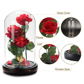 Dream of Flowers glass dome rose with falling petals creates magical ambiance.