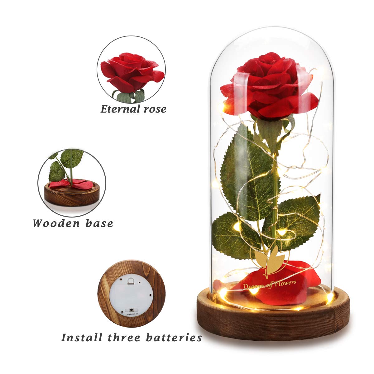 Dream of Flowers LED rose petals illuminate softly for romantic nights.
