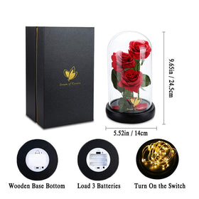 Dream of Flowers valentines rose gift for her with enduring charm.