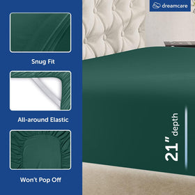 DreamCARE hotel-luxury vibe with eco green finish