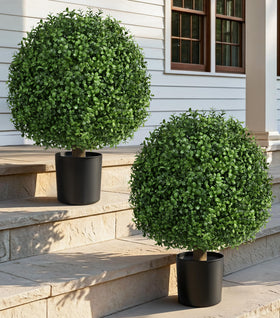 DREAMLOOM boxwood topiary two-pack in planter for porch decor, outdoor ready.