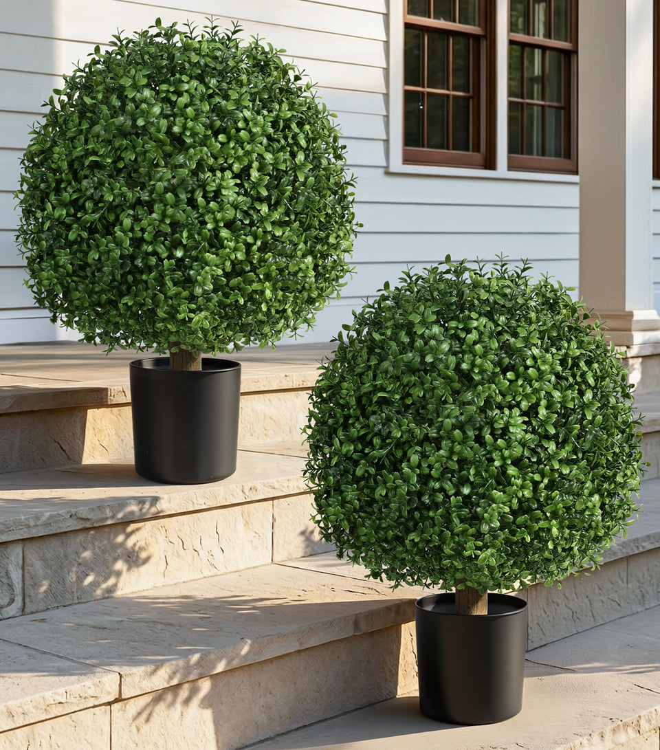 DREAMLOOM boxwood topiary two-pack in planter for porch decor, outdoor ready.