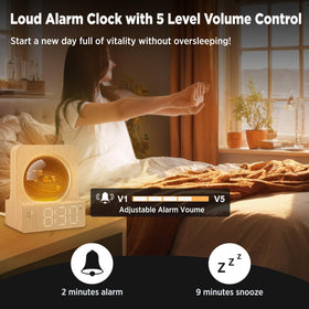 DreamSky battery backup preserves settings during power outages
