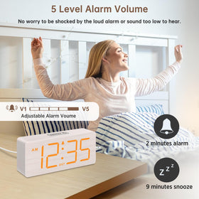 DreamSky alarm clock volume control helps heavy sleepers hear alerts clearly.