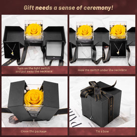 DRTINA greeting card and gift bag included in the package.