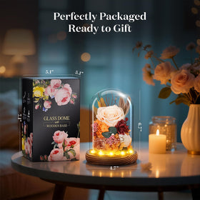 Dsuto gift-ready packaging ideal for birthdays and celebrations