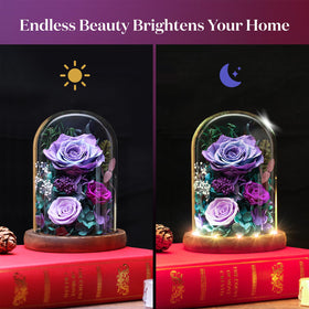 Dsuto handcrafted detail on the rose dome showcases artisan precision and premium materials.