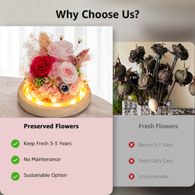Dsuto preserved flowers in a glass dome offer elegant, maintenance-free decor.