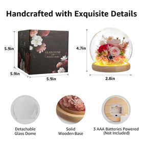 Dsuto rose in glass dome on wood base enhances shelves.