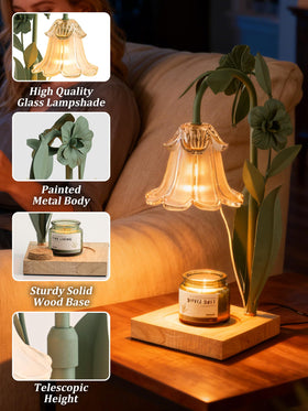 DSYHYL elegant decor gift suitable for holidays and birthdays.