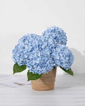 DuHouse adjustable hydrangea stems for easy DIY arrangements