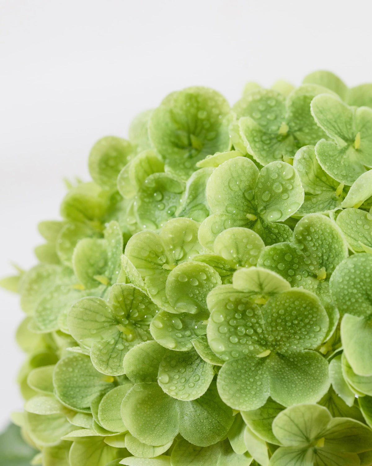 DuHouse hydrangea full-length stems flexible for personalized centerpieces