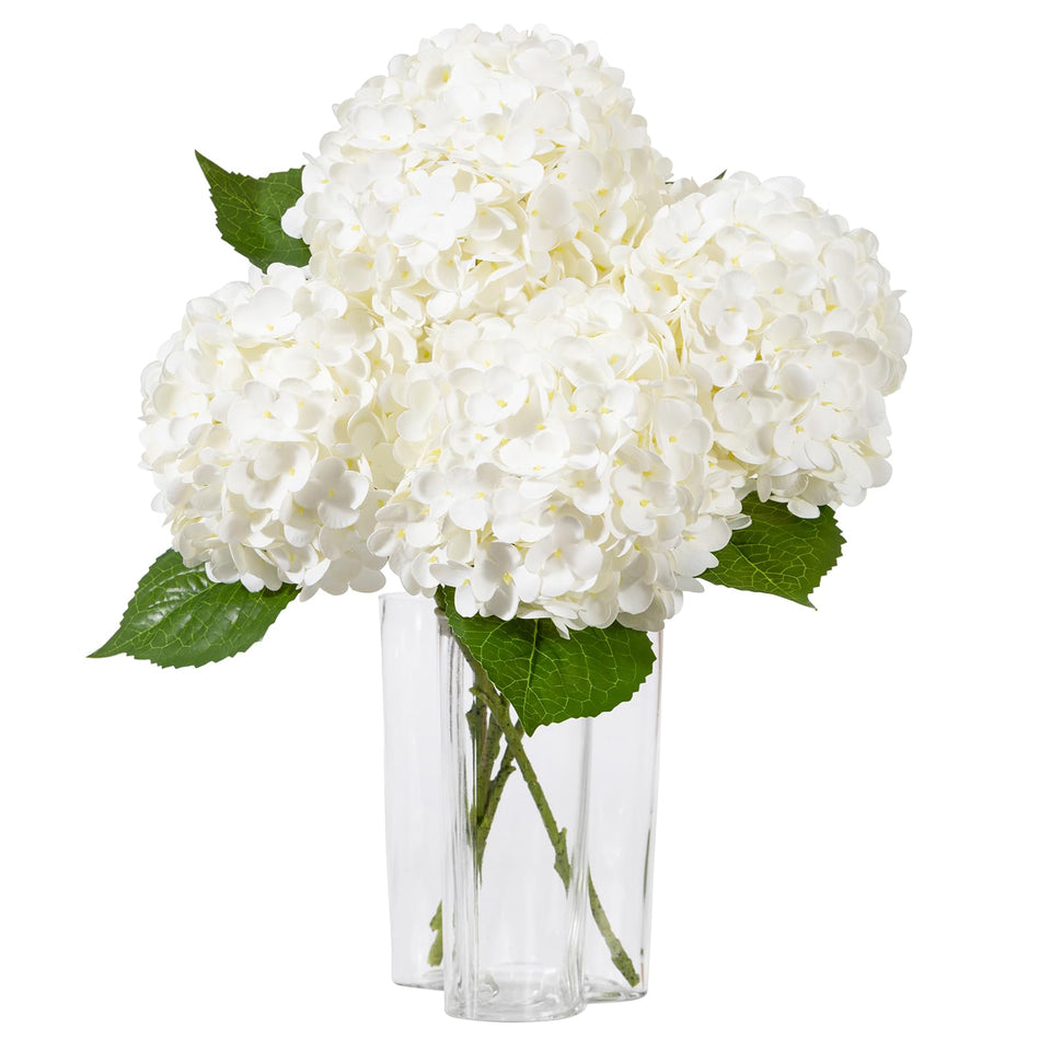 DuHouse large white hydrangea bloom close-up for elegant centerpieces.