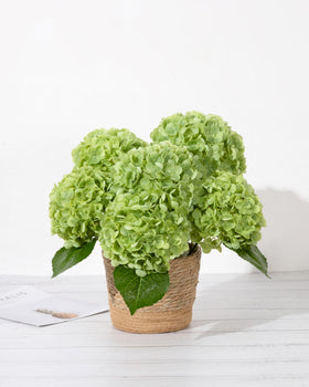 DuHouse real touch hydrangea closeup shows lifelike petals for DIY arrangements