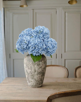 DuHouse living room decoration with low-maintenance blue hydrangeas