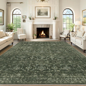 DUIDY washable area rug 8x10 green in living room with easy maintenance.