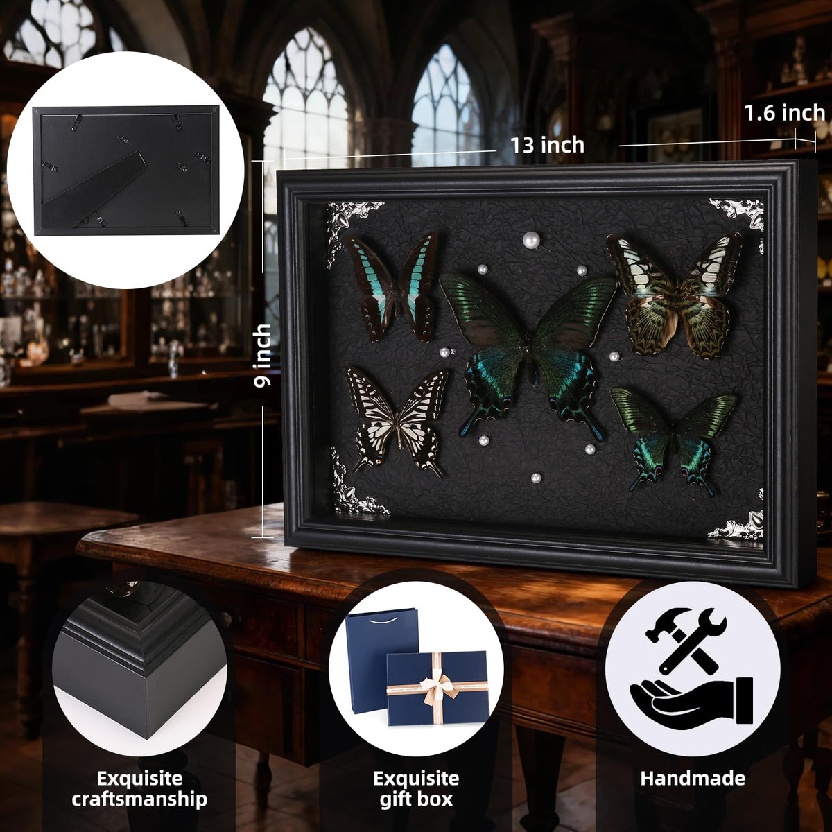 Duxjaqu acrylic glass display frames delicate specimens clearly for viewing