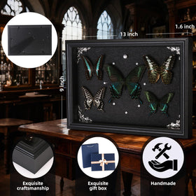 Duxjaqu acrylic glass display frames delicate specimens clearly for viewing