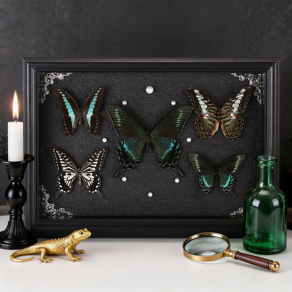 Duxjaqu Brilliant Swallowtail specimen adds dramatic color to any room