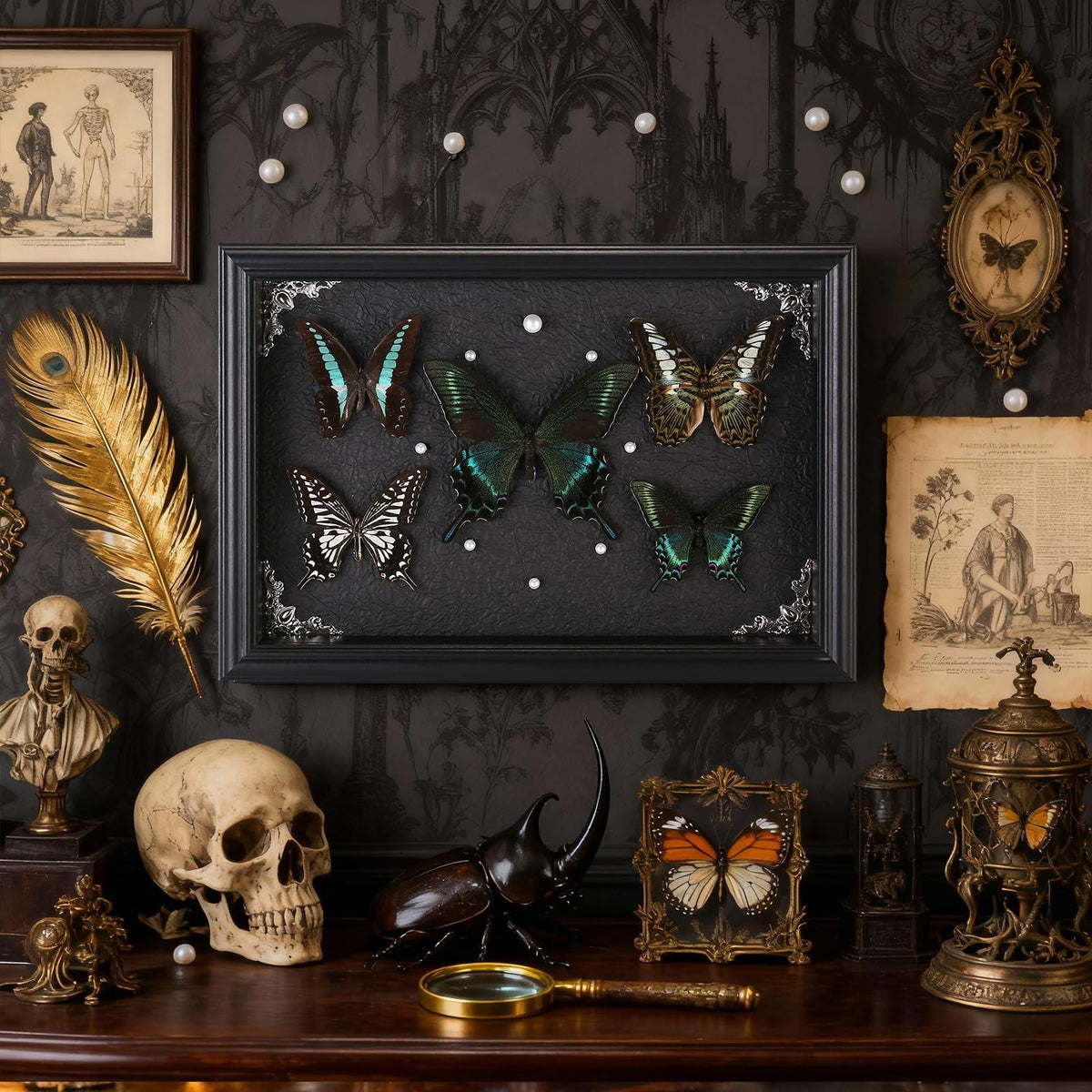 Duxjaqu Citrus Swallowtail specimen brings bright color to shelves or walls