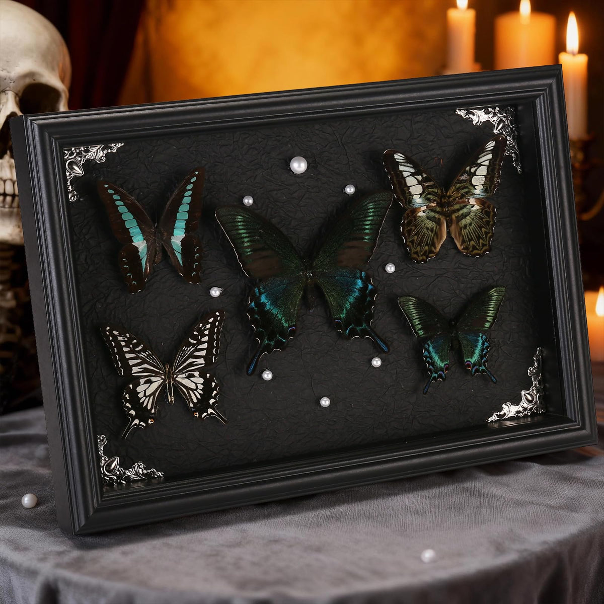 Duxjaqu pine wood frame butterfly display adds natural art to home interiors