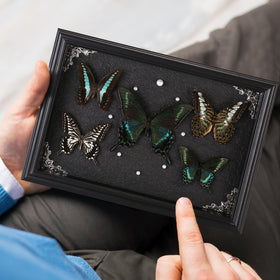 Duxjaqu Wall-hanger ready butterfly art for quick display in living spaces