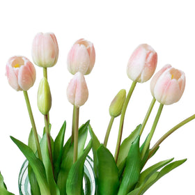 DUYONE powder pink tulips close-up with glossy petals and dew-like sheen.