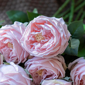 DUYONE roses brighten home or office spaces with ease.