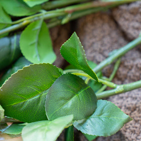 DUYONE maintenance-free flowers require no watering.