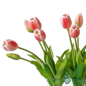 DUYONE coral pink tulips office decor to brighten workspaces.