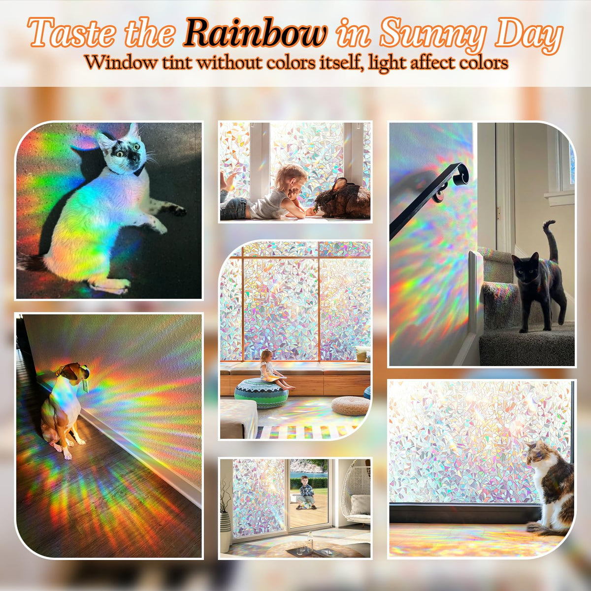 Dwersty rainbow window film acts as a suncatcher cover on a window