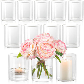 DYMFADFB twelve-piece glass cylinder vases offer versatile centerpiece options.