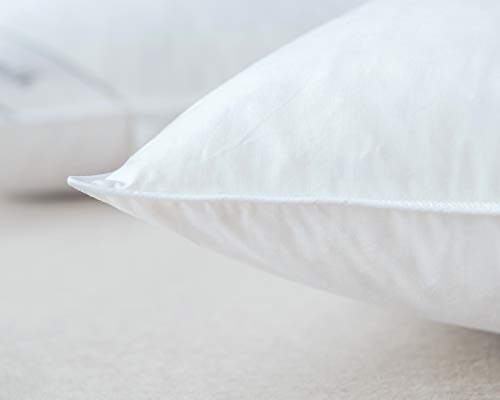 Eastwarmth pillows arrive factory-packaged for clean delivery