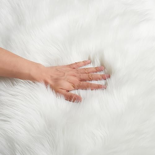 EasyJoy easy-to-clean fuzzy rug supports quick spot-clean maintenance.