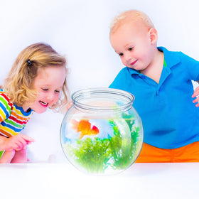 Eccliy kid-friendly party cups add color to celebrations.