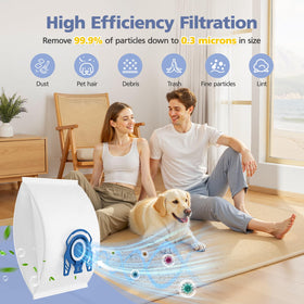 Ecleanfy includes Super Air Clean filters to maintain suction.