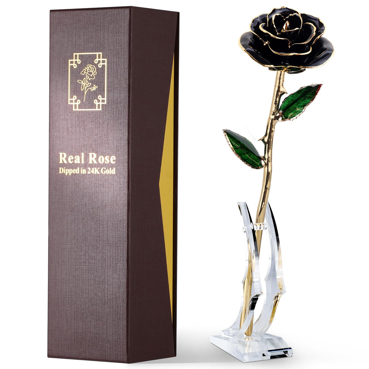 Eco Space 24K gold-dipped rose close-up highlights timeless elegance for gifting