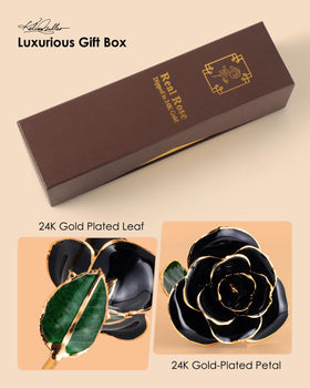 Eco Space gift box presentation complements the rose and accelerates gifting