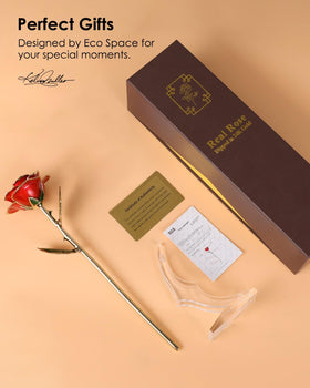 Eco Space Gold Dipped Rose elegant presentation in its box.