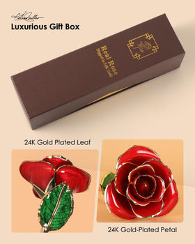 Eco Space Gold Dipped Rose gift box presented ready to gift.