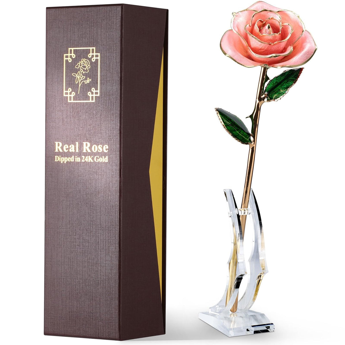 Eco Space Gold Dipped Rose hand-dipped in 24K gold, a timeless keepsake.